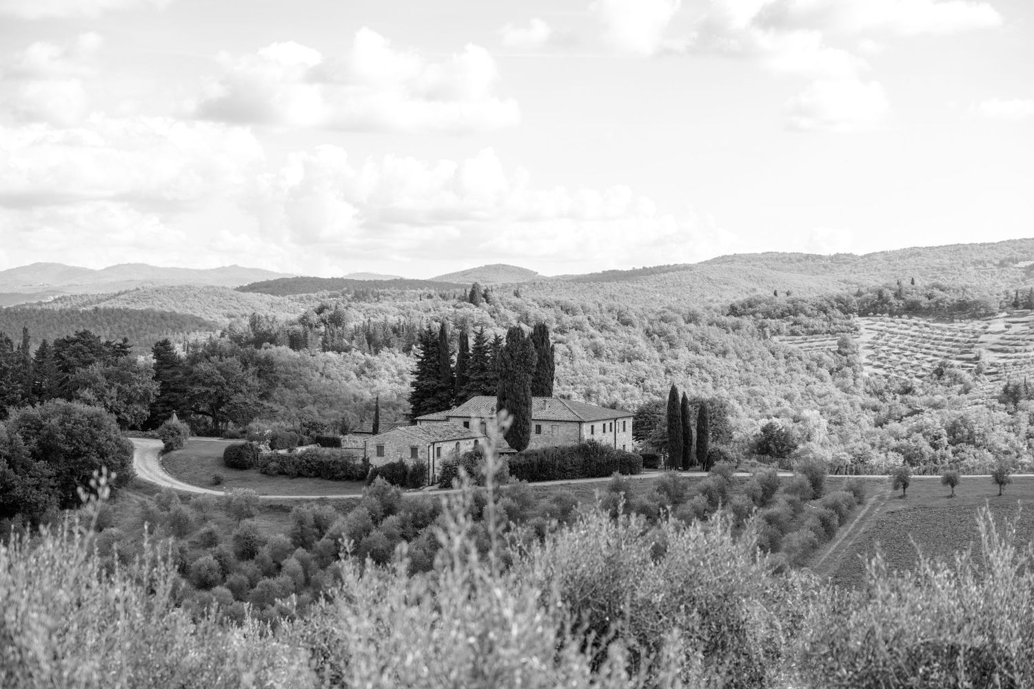 Black and white landscape of a Tuscan villa nestled among rolling hills and cypress trees.