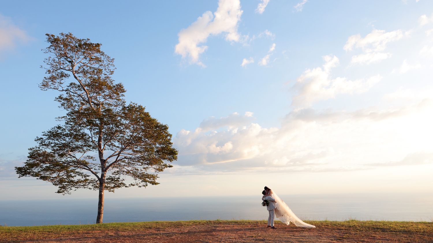 A lone tree stands on a hilltop at sunset while a silhouetted figure in a flowing dress stands nearby against the horizon.