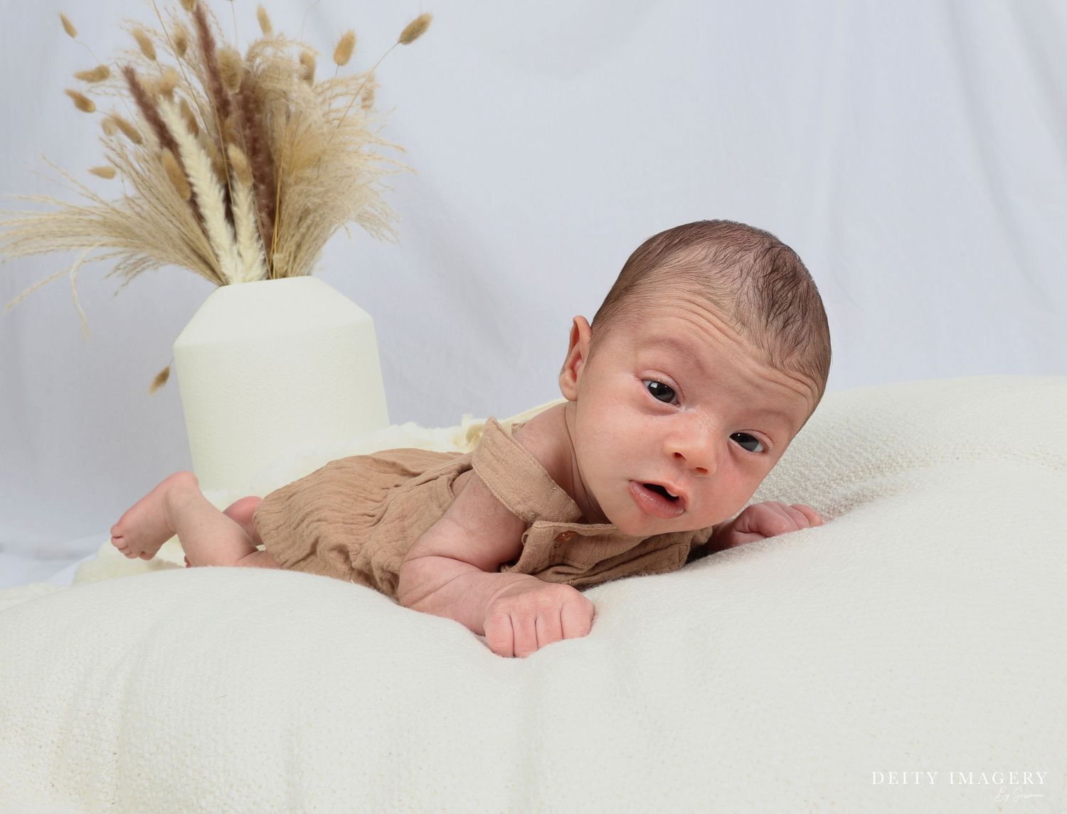A collage of newborn baby photography poses showing feet, head, and body angles against a white backdrop.
