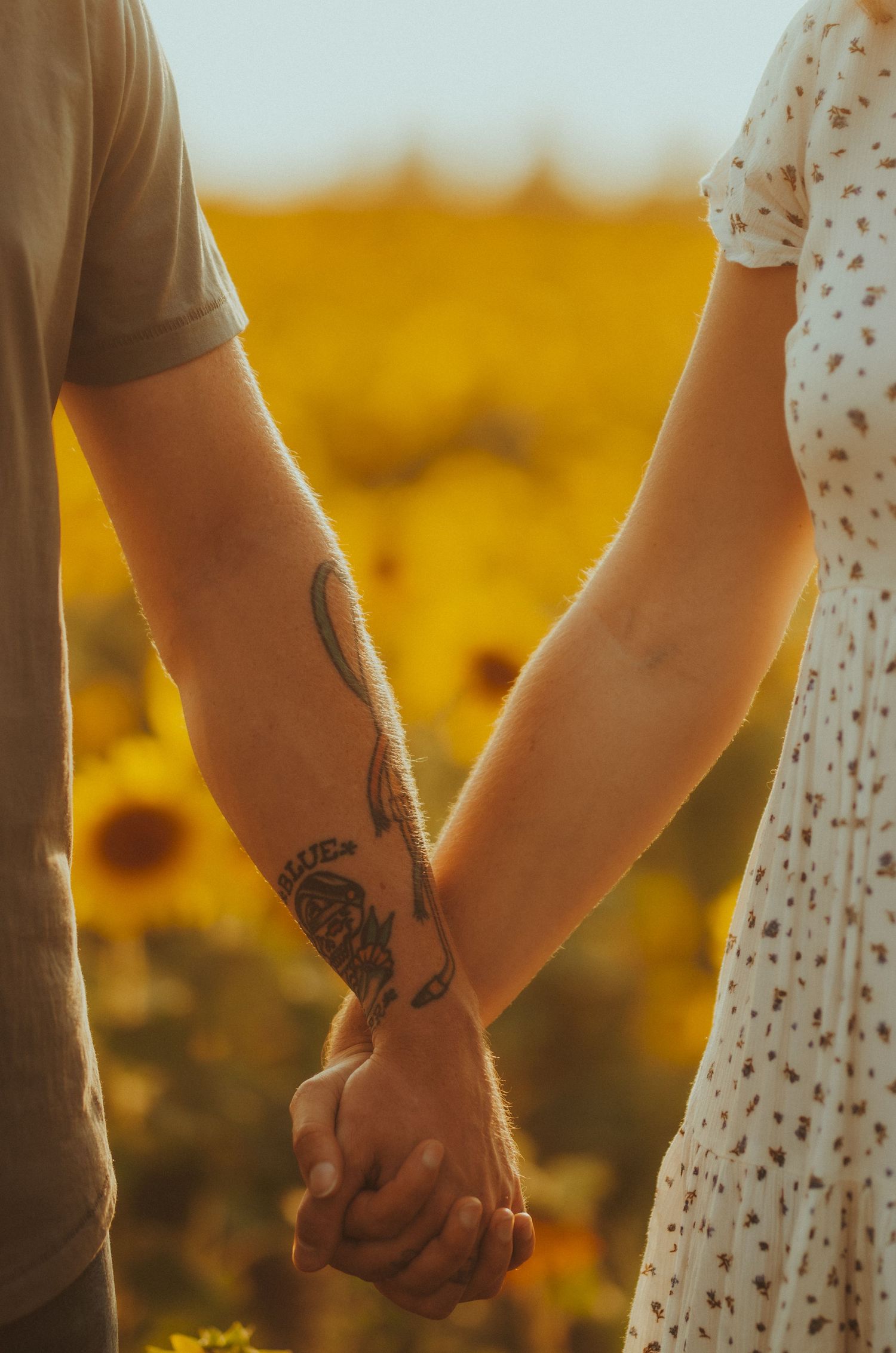 A couple holding hands in a backlit golden sunflower field during sunset.