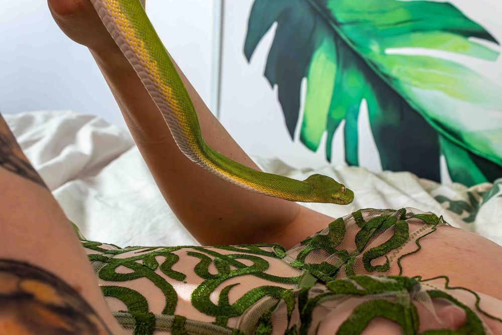 A green snake slithers towards a model in green lingerie.