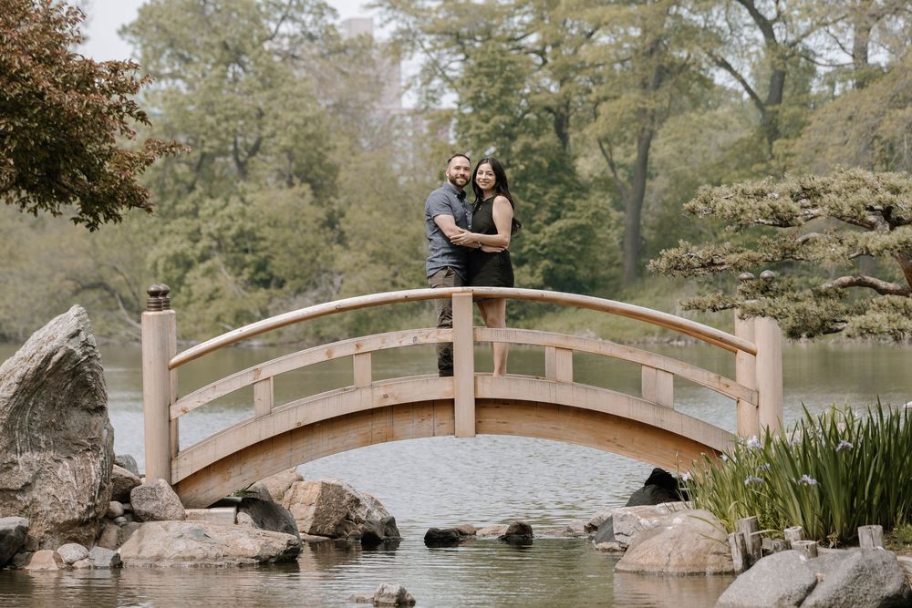 Wooden arched bridges span across a tranquil Japanese garden pond surrounded by lush greenery.