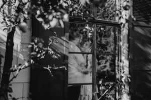 Dappled sunlight creates shadows through tree branches in a moody black and white composition.