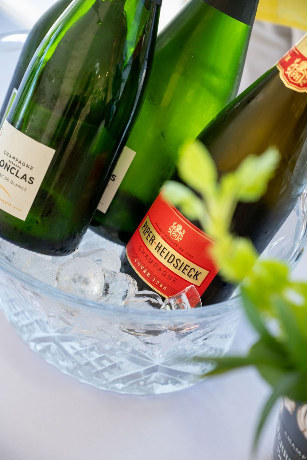 A row of wine bottles in crystal ice bucket coolers with green and red labels at an elegant event.