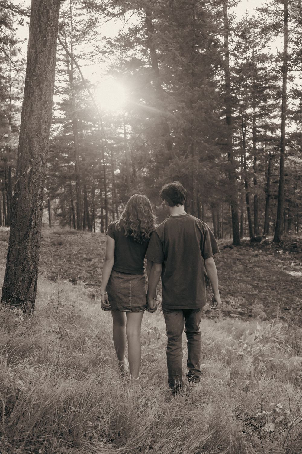 A couple walks hand in hand through a sunlit forest path.
