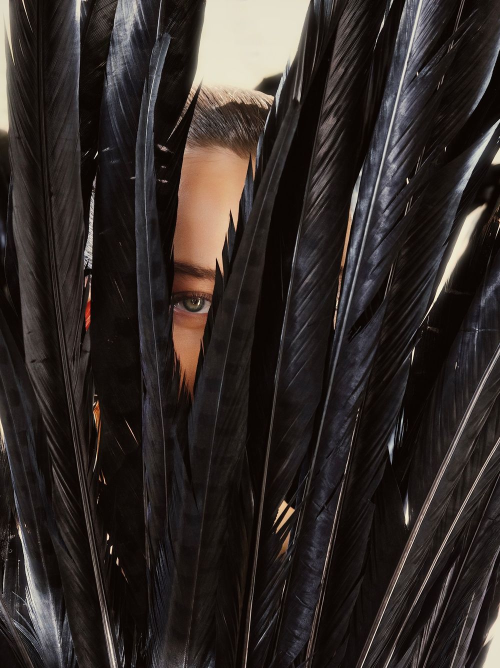 Black feathers arranged in a row create a dramatic pattern with glossy texture and dark iridescent sheen.