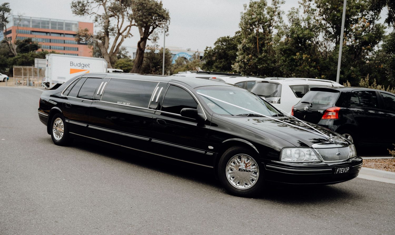 Black stretch limousines parked in a row at a car service or event venue.