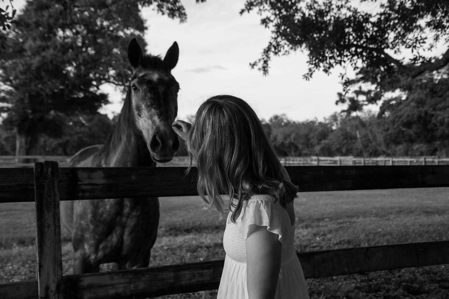 equestrian photographer located in vero beach fl