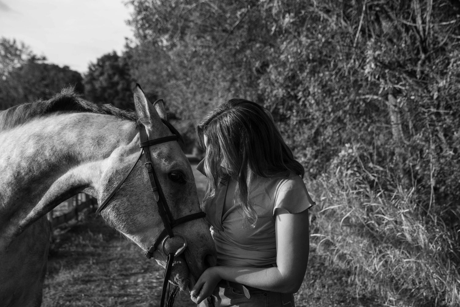 equestrian photographer located in vero beach fl