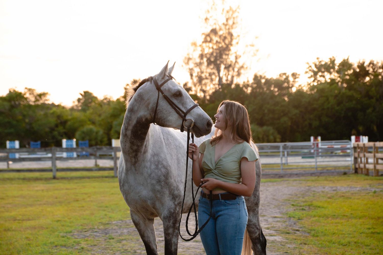 equestrian photographer located in vero beach fl