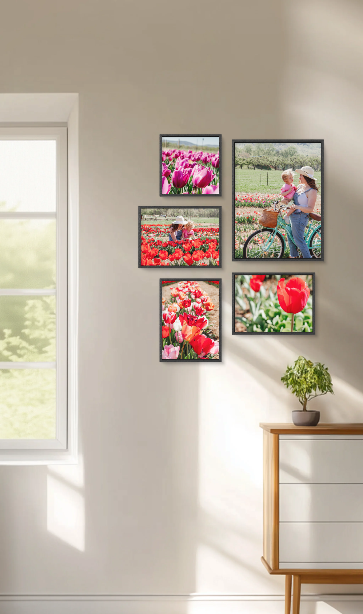 Bright & colorful gallery wall featuring family portraits in a tulip field, with images of a mother and child surrounded by vibrant flowers