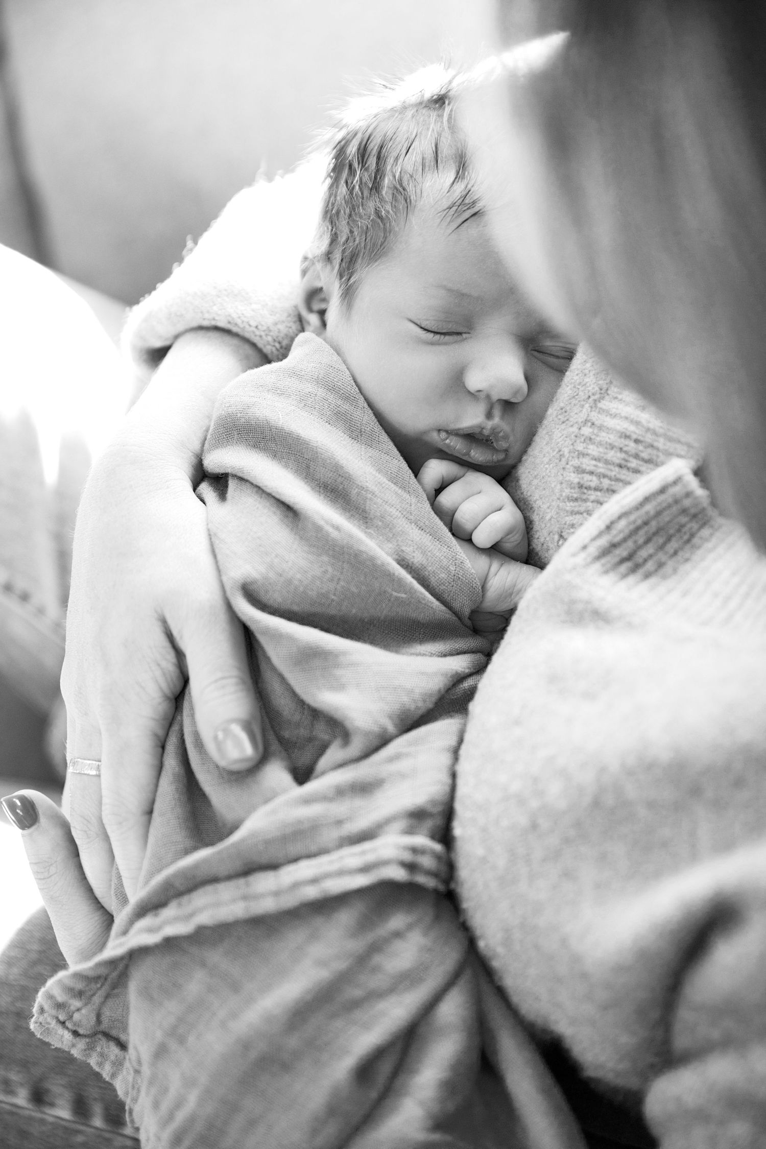 newborn photography, denver photographer