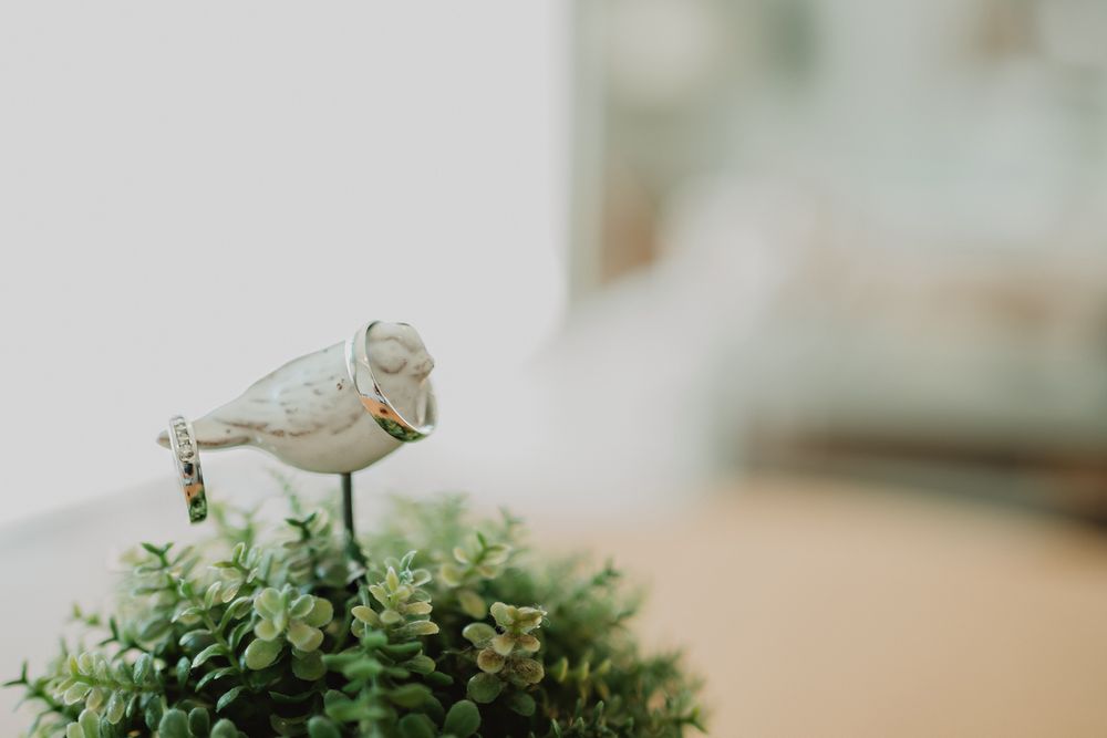 Anillos de boda en pájaro de porcelana – detalle creativo capturado por fotógrafo de bodas.