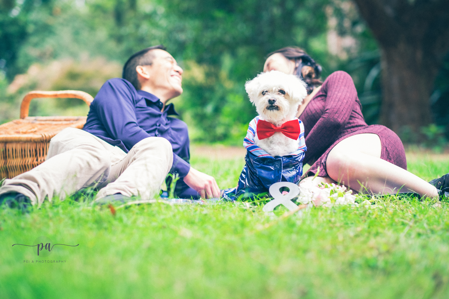 Couple lounges on grass with their dressed-up white dog outdoors taken by Melbourne couples photographer.