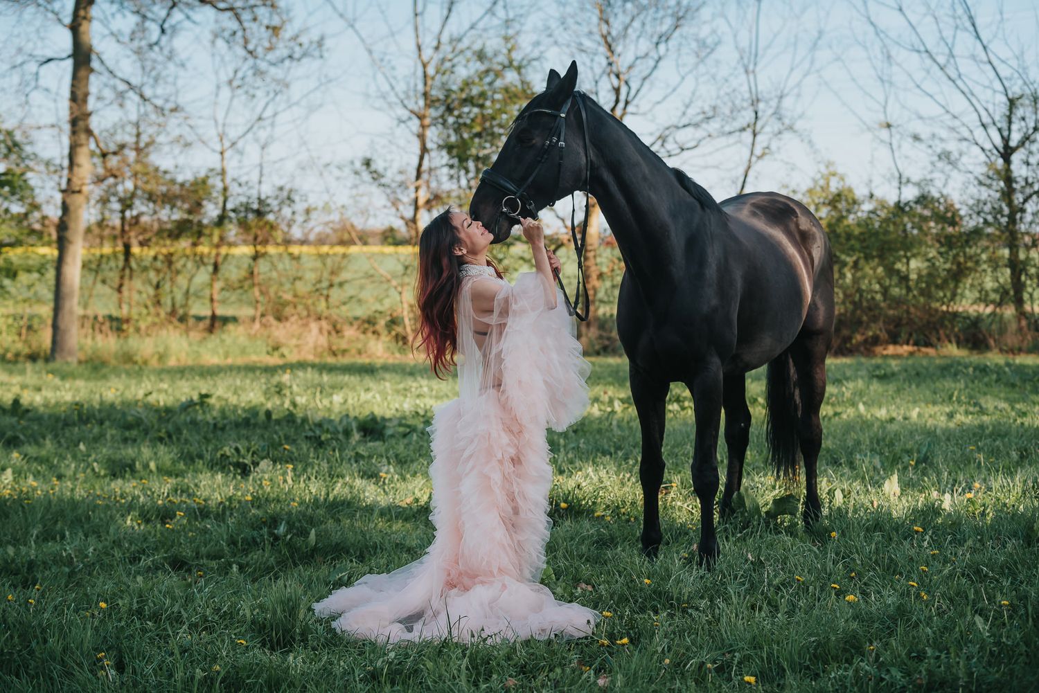 wild & free boudoir session med häst