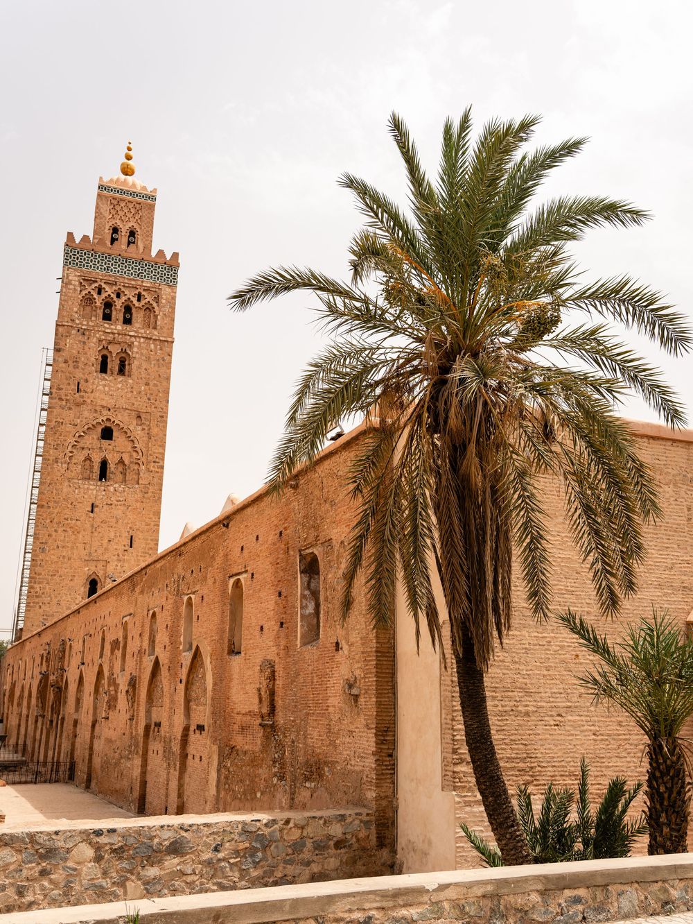Ancienne mosquée marocaine avec un haut minaret et des palmiers se détachant sur des murs en pierre beige. Florent Vause
