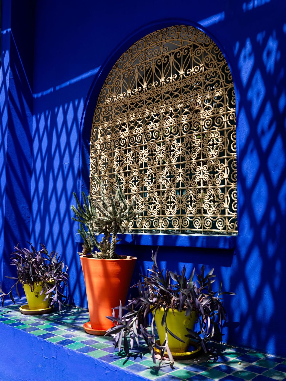 Mur bleu vif avec des ferronneries ornées et des plantes en pot colorées créant des ombres géométriques. Florent Vause