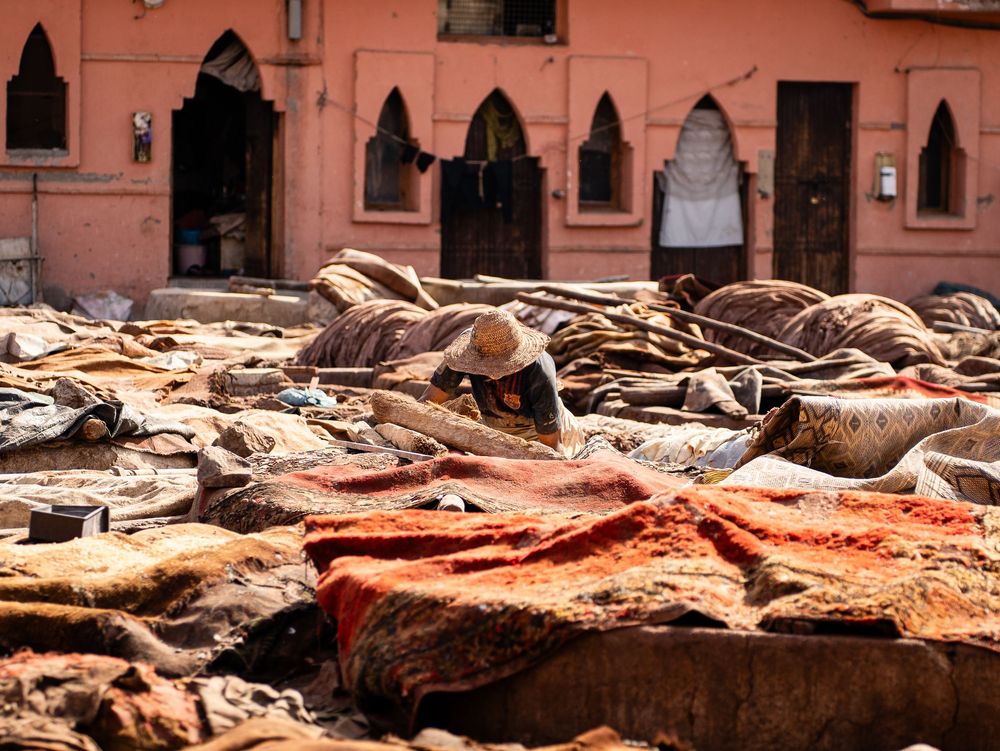 Des rangées de peaux d'animaux et de cuir sont séchées et tannées dans une tannerie marocaine traditionnelle. Florent Vause