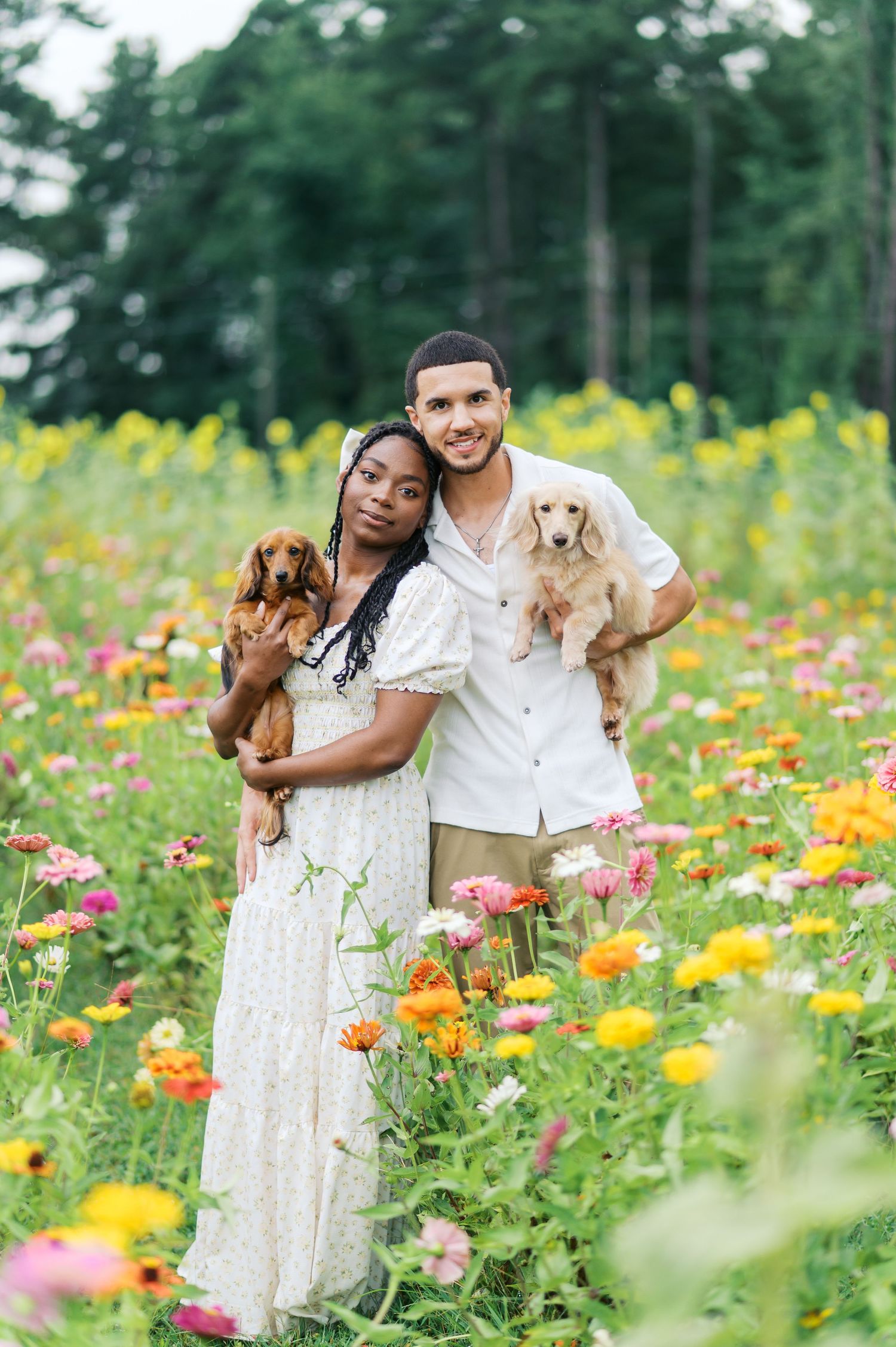 A couple poses with their dogs in a vibrant wildflower field filled with colorful zinnias and summer blooms.