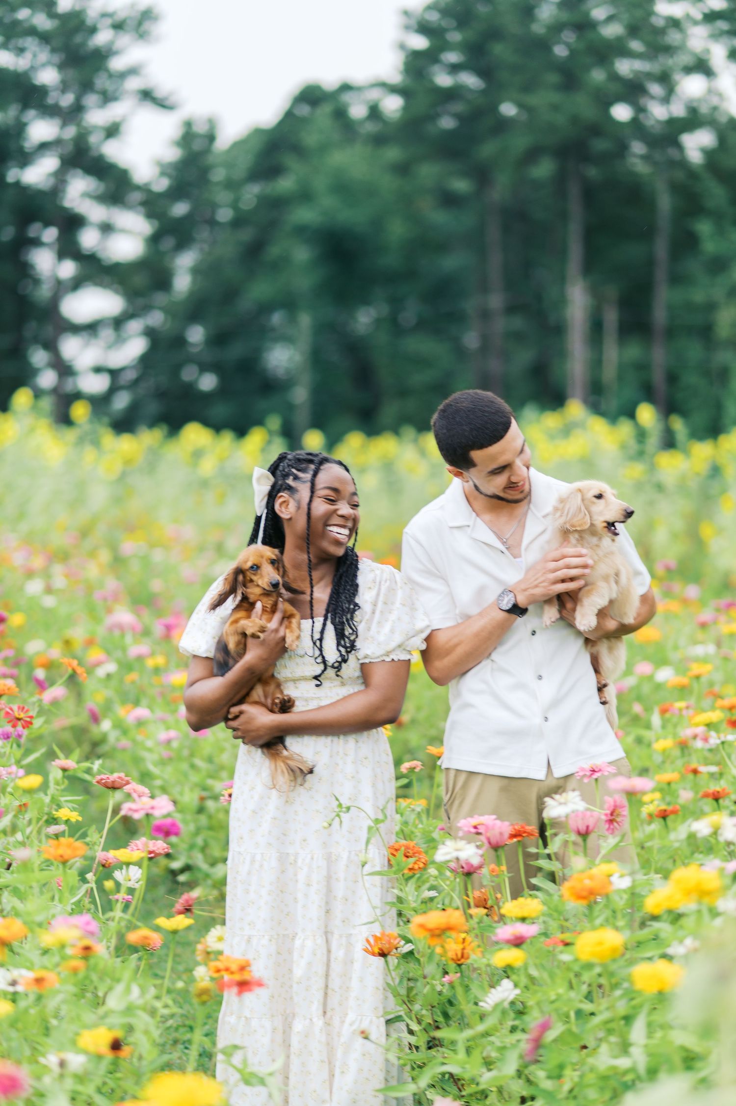 A couple plays with their small dog in a vibrant field of colorful wildflowers on a sunny summer day.
