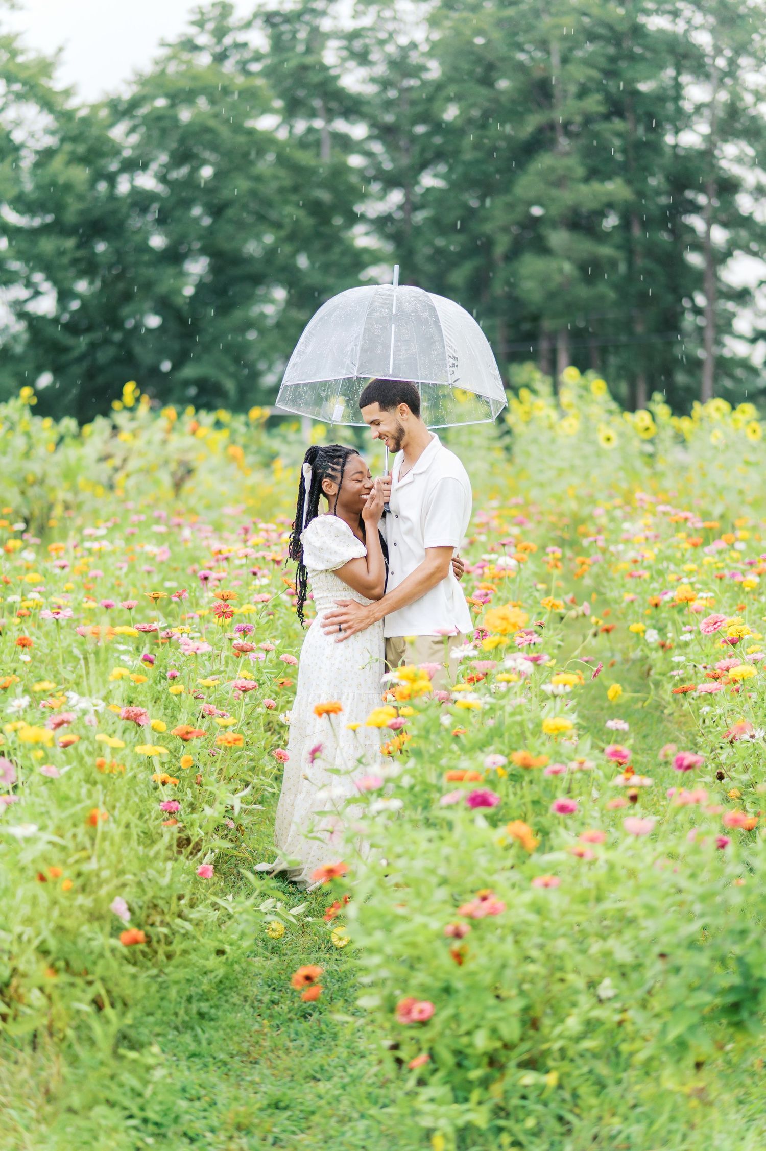 A couple shares a romantic moment under a clear umbrella in a vibrant wildflower meadow on a summer day.