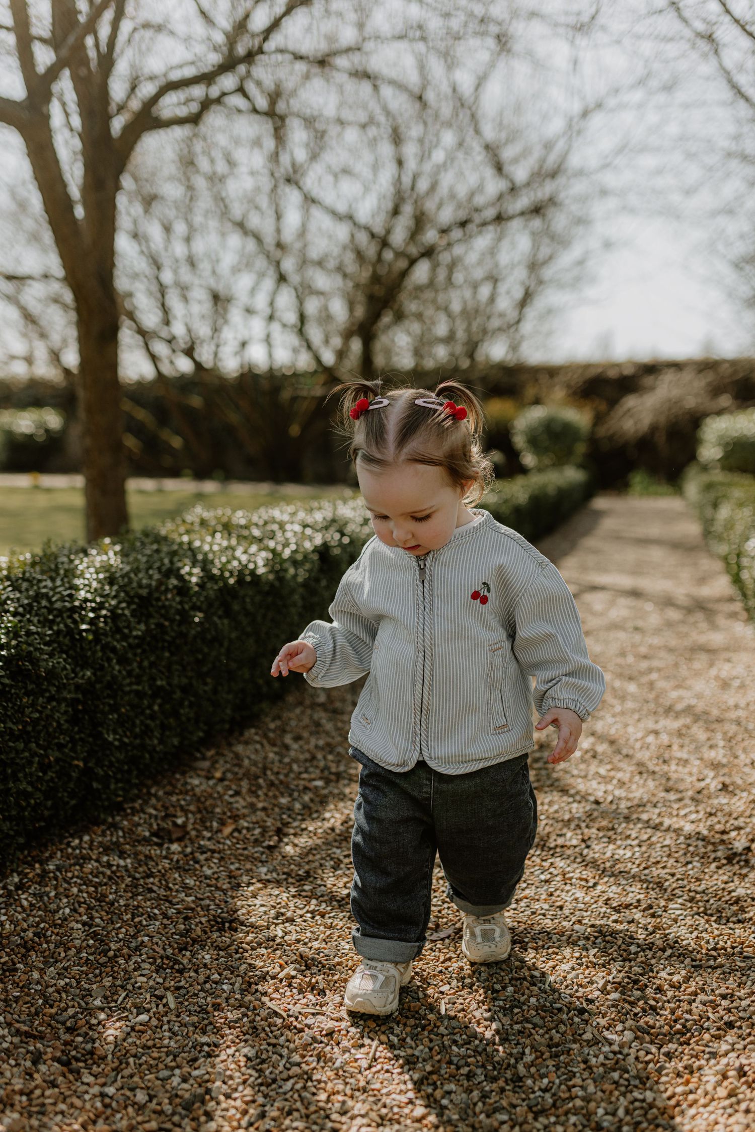 A toddler in a grey jacket and jeans takes steps along a garden path surrounded by bare trees.