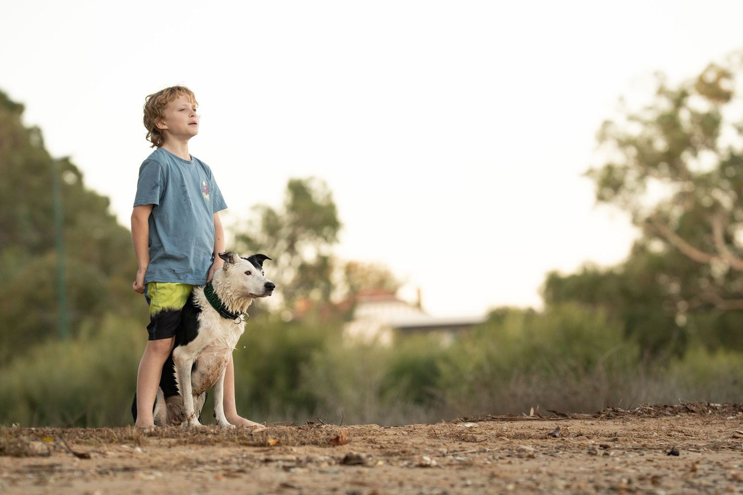 A young boy in blue shirt and shorts walks with a dog on a dirt path with his dog during golden hour.