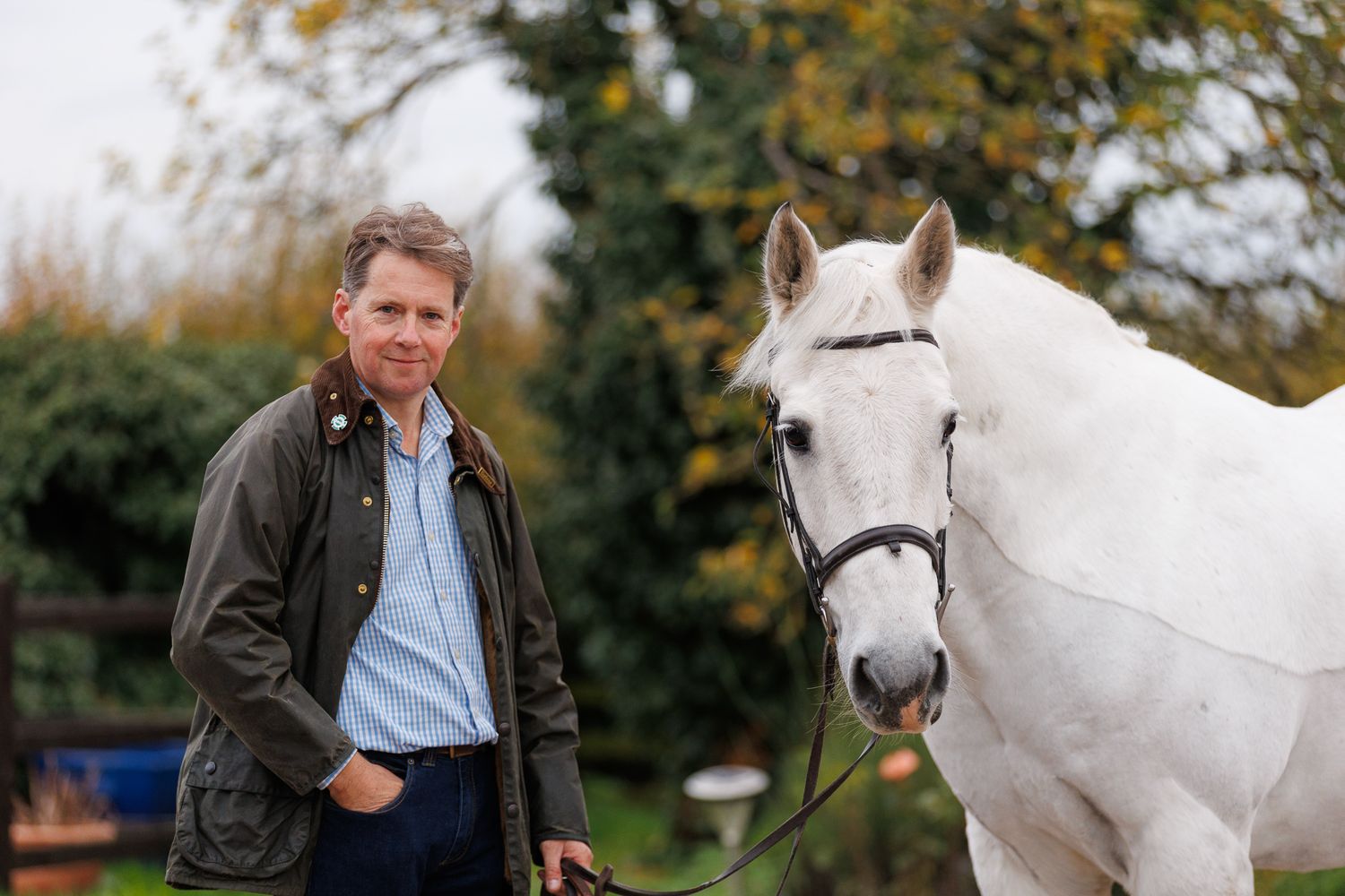 A series of seven photos showing a white horse and rider interacting at a wooden fence in an outdoor setting.