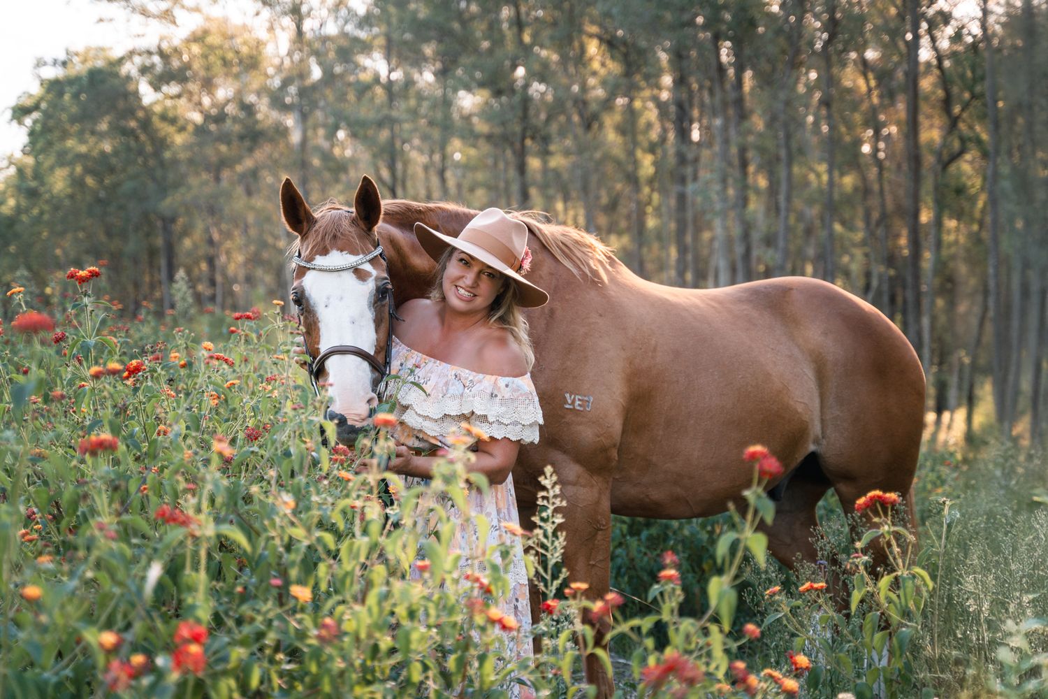 A brown horse stands among vibrant red wildflowers in a serene forest setting during golden hour photoshoot in Sydney