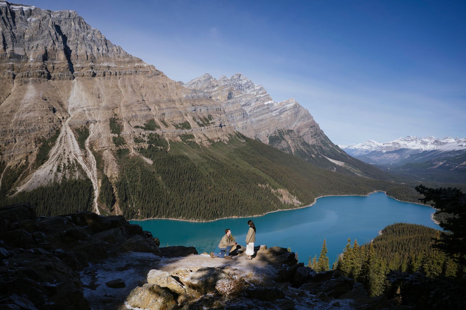Banff Proposal