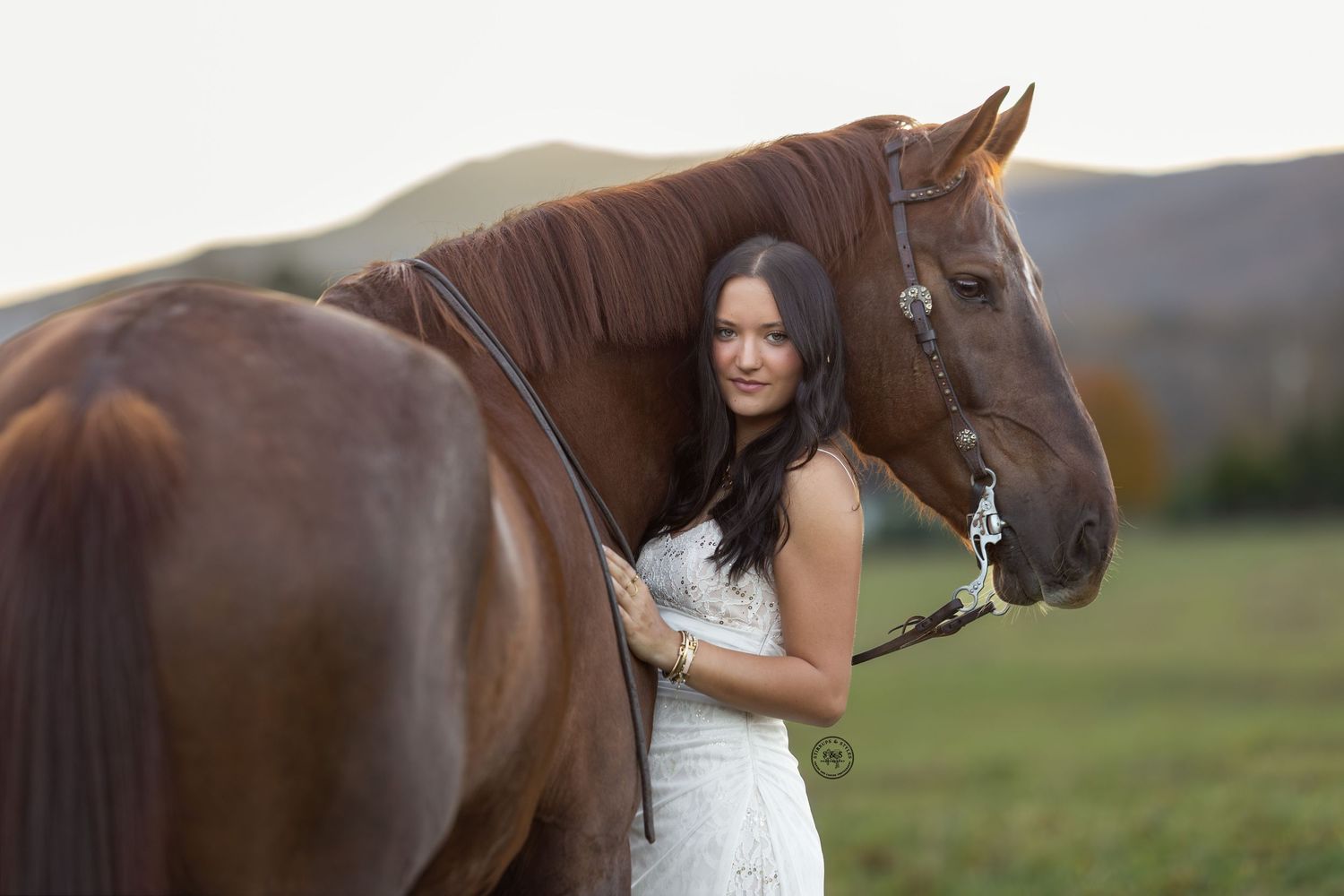 A person gently pets a brown horse in a grassy field during golden hour.