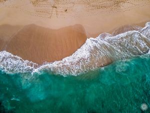 Nature Photography