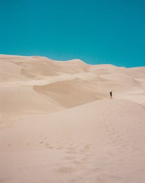 Nature Photography