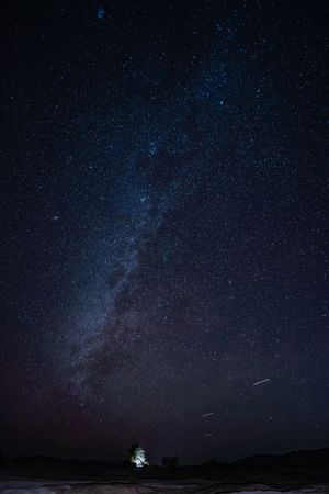 Nature Photography