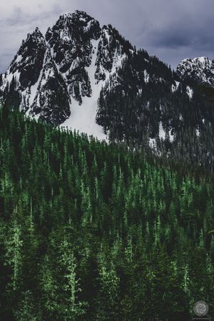 Nature Photography