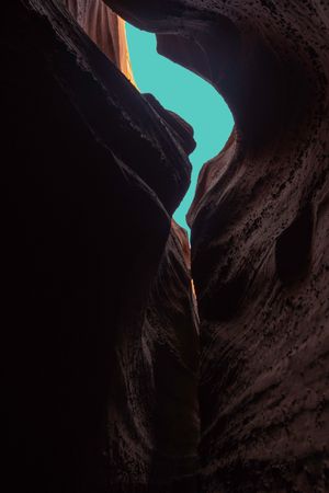 Nature Photography