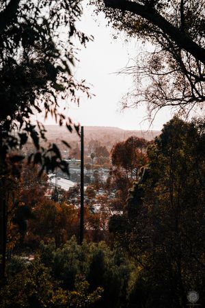 Nature Photography