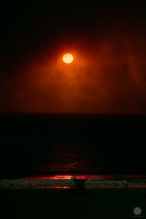 Nature Photography