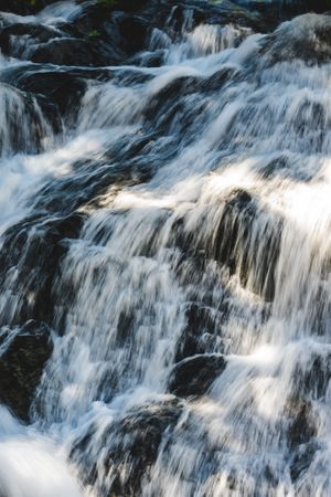 Nature Photography