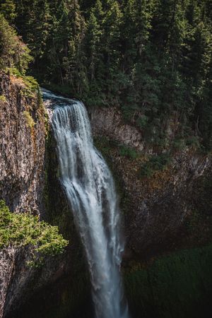 Nature Photography