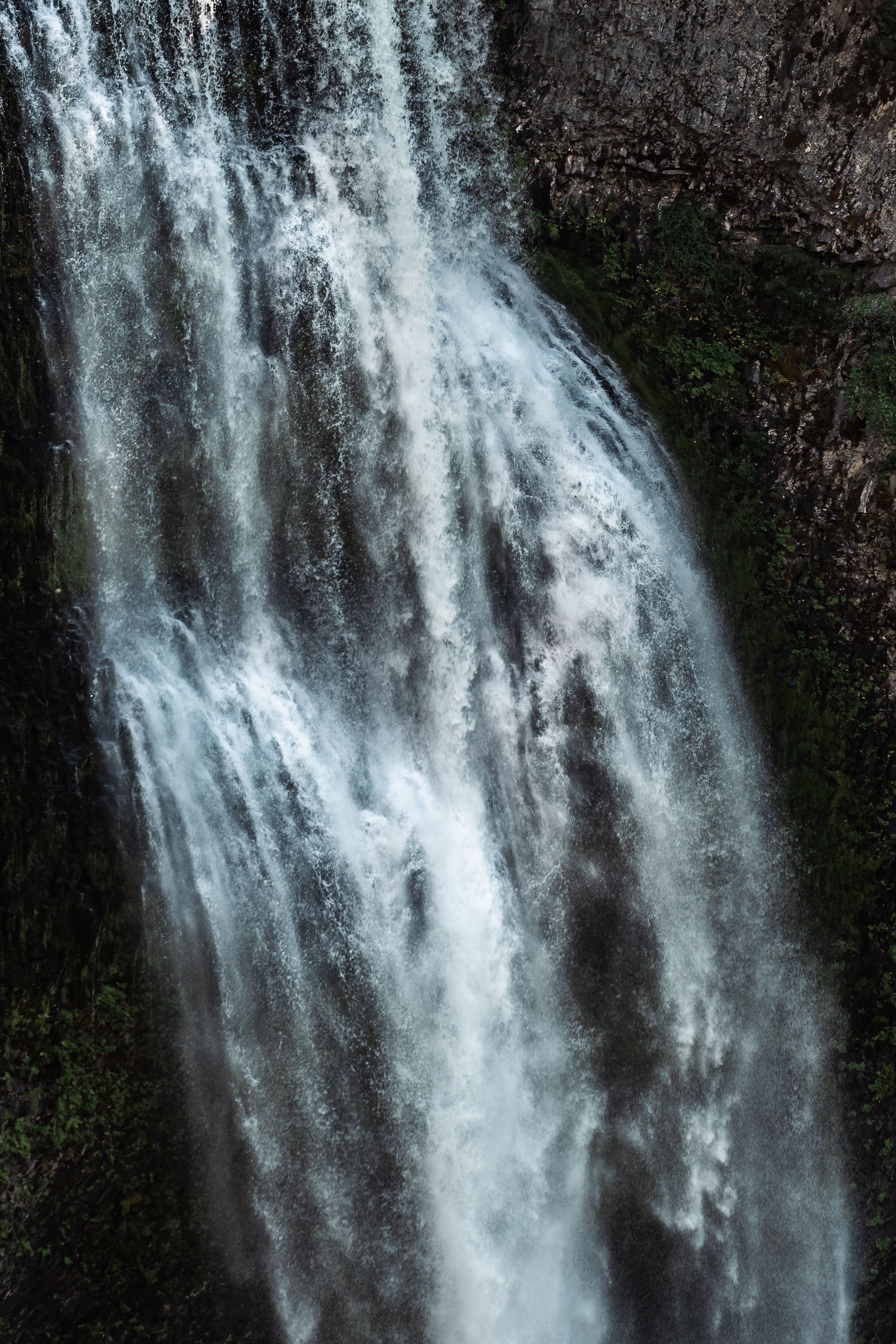 Nature Photography