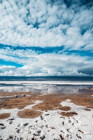 Nature Photography