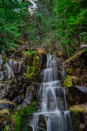 Nature Photography