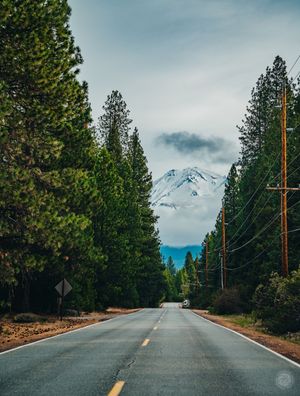 Nature Photography