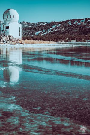 Nature Photography