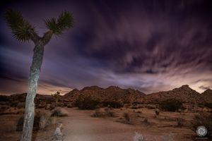 Nature Photography