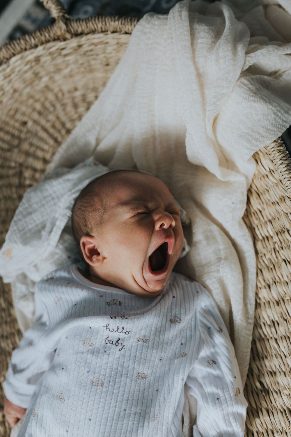 At home newborn photography session newborn baby basket