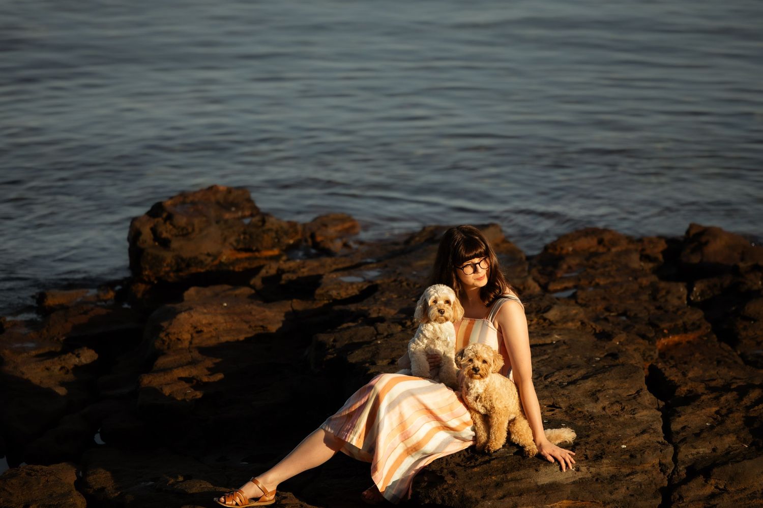 Woman in floral dress sitting on rocky shore with two fluffy dogs, golden sunset light reflecting on calm ocean water.