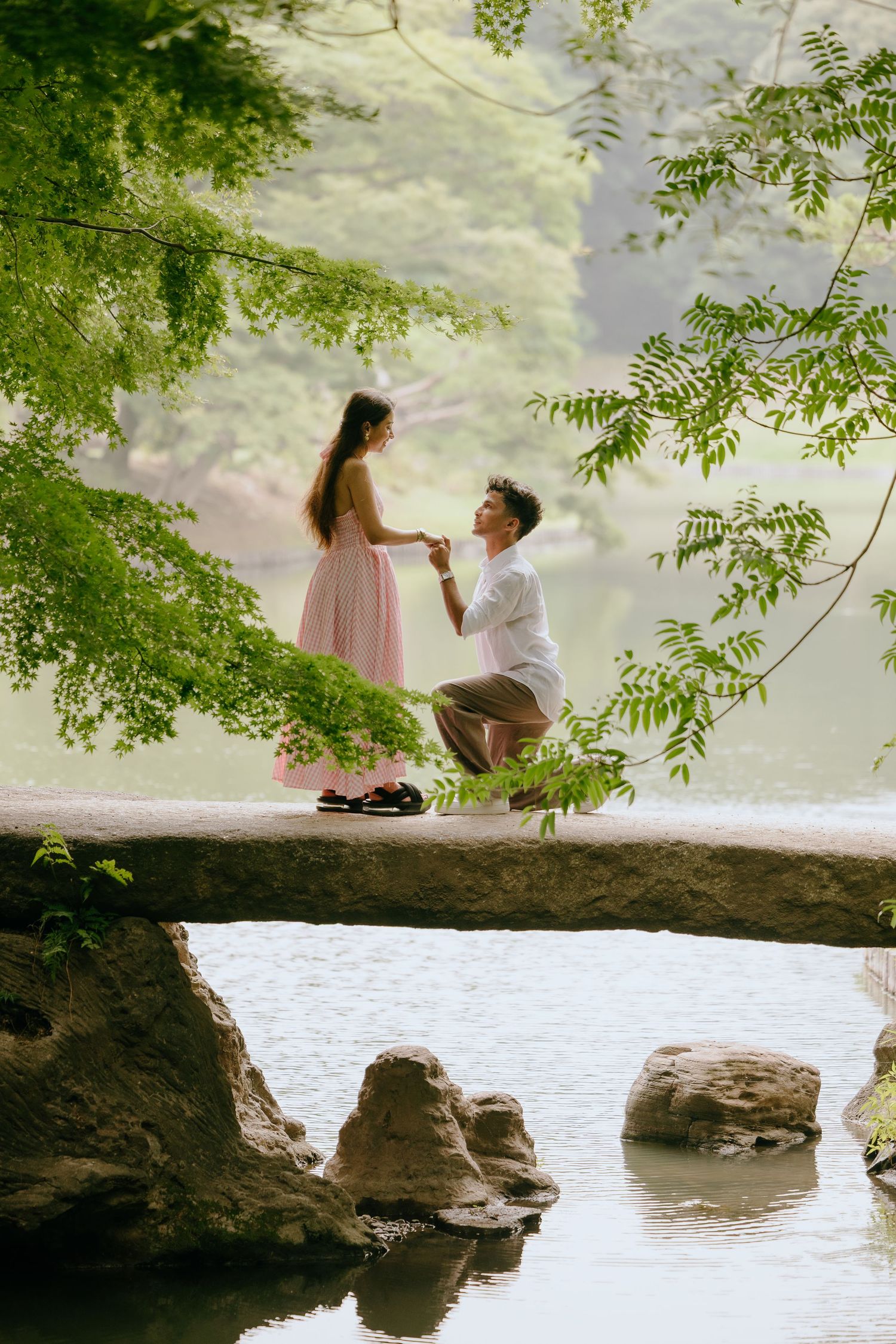 A romantic proposal scene on a natural stone bridge over water, surrounded by lush green foliage in dreamy lighting at Rikugien garden