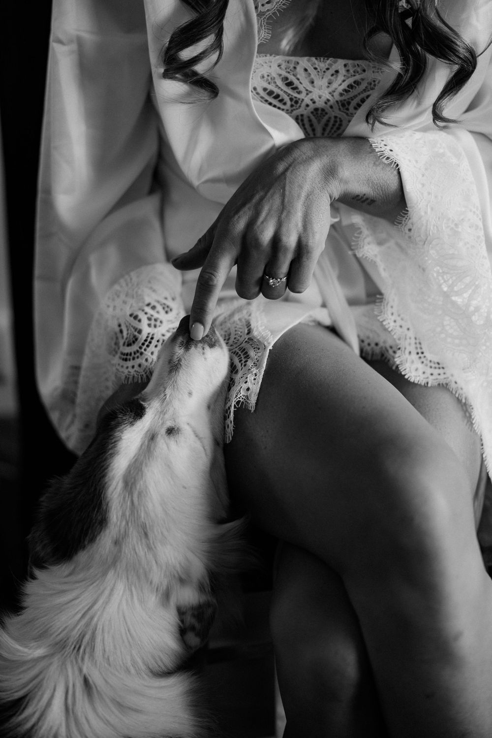 A black and white boudoir photo showing delicate lace details and a white fluffy cat.